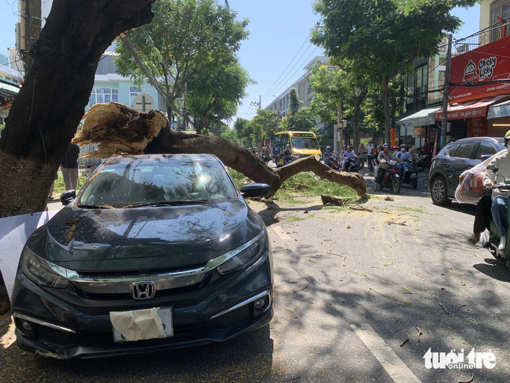 Nhánh cây lớn gãy gập, đè trúng một ô tô ở Đà Nẵng - Ảnh 2.