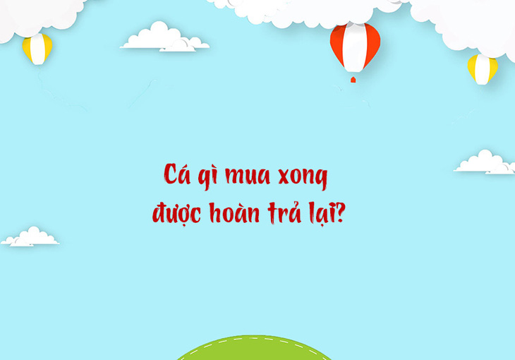 Cá gì mua xong được hoàn trả lại? - Ảnh 1.