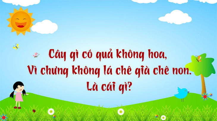 Tên thành phố nào Việt Nam chỉ có một từ? - Ảnh 2.