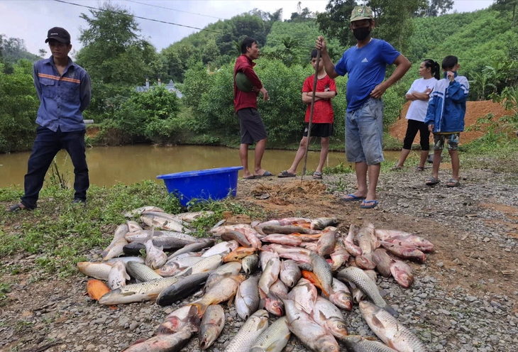 Mua thuốc độc diệt cả ao cá nhà hàng xóm - Ảnh 1.