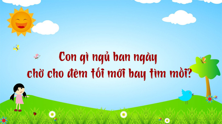 Tỉnh nào có nhiều chữ cái nhất trong bảng chữ cái tiếng Việt? - Ảnh 2.