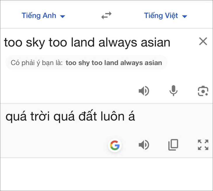 Ảnh vui 22-11: 'Quá trời quá đất' khi được 'chị Google' dịch - Ảnh 1.