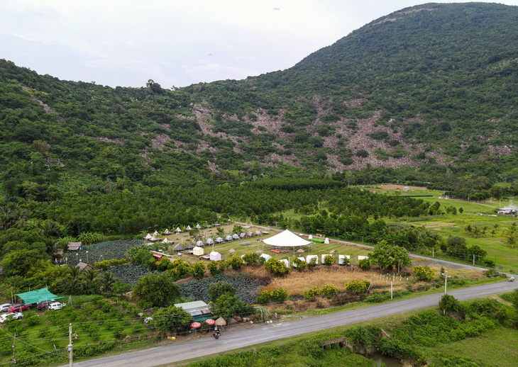 Du lịch 3 tỉnh Tây Ninh, Đồng Nai, Ninh Thuận bắt tay phát triển mô hình 'rừng và biển' - Ảnh 2.