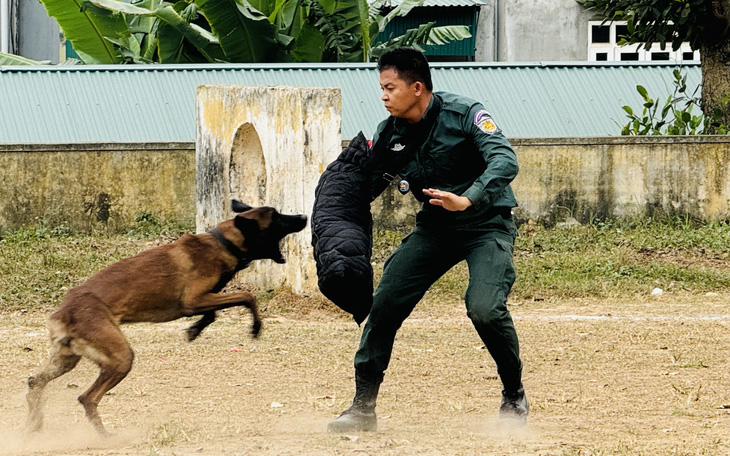 Chuyện về những người sĩ quan cảnh sát 'nuôi dạy' chó nghiệp vụ - Ảnh 12.