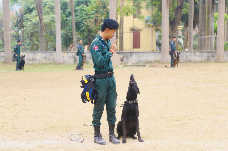 Cảnh sát Campuchia luyện tập huấn luyện chó nghiệp vụ trên thao trường Việt Nam - Ảnh 13.