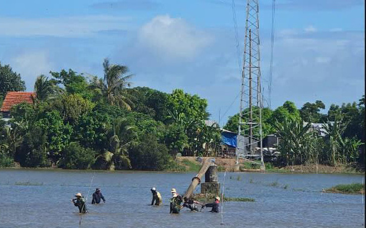 An Giang mang cá tra, mật thốt nốt... đến TP.HCM để quảng bá, 'trải  chiếu' mời gọi đầu tư - Ảnh 2.