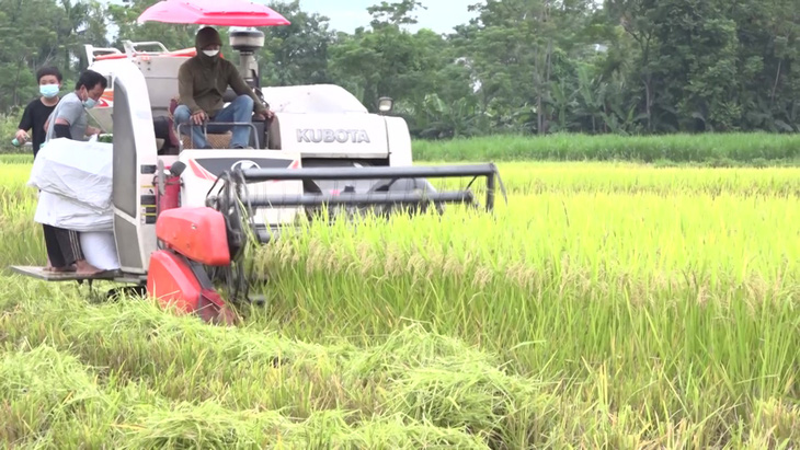 Tăng trưởng kinh tế của Thanh Hóa đứng thứ 3 cả nước - Ảnh 2.