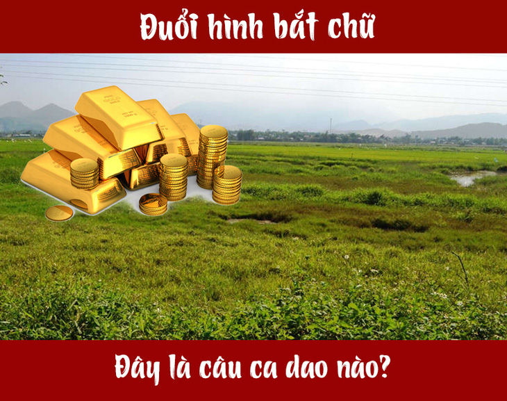 Câu ca dao, tục ngữ 'khó nhằn' này là gì? (P80) - Ảnh 1.