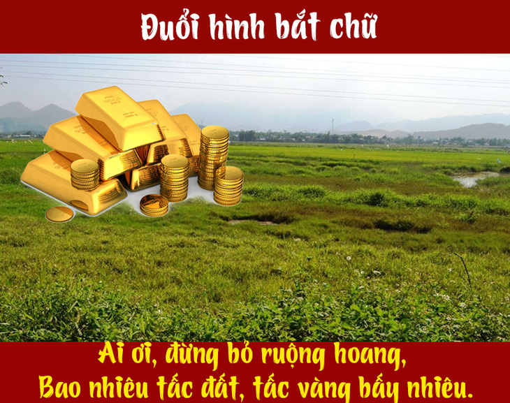 Câu ca dao, tục ngữ 'khó nhằn' này là gì? (P80) - Ảnh 1.