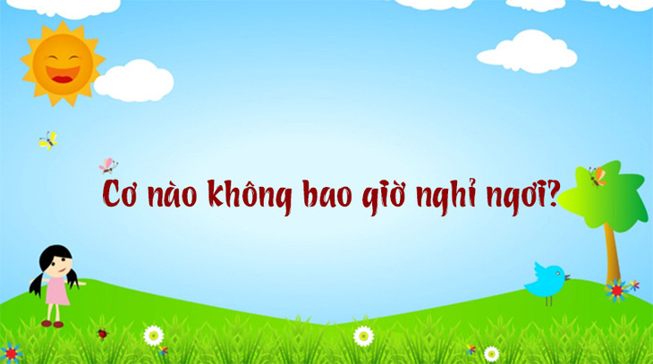 Tỉnh nào nước ta có tên thành phố dài nhất? - Ảnh 2.