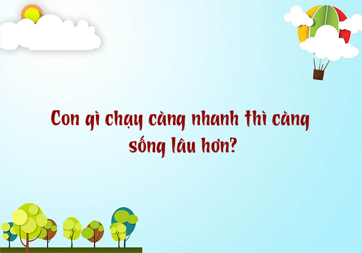 Tỉnh nào nước ta có tên thành phố dài nhất? - Ảnh 3.