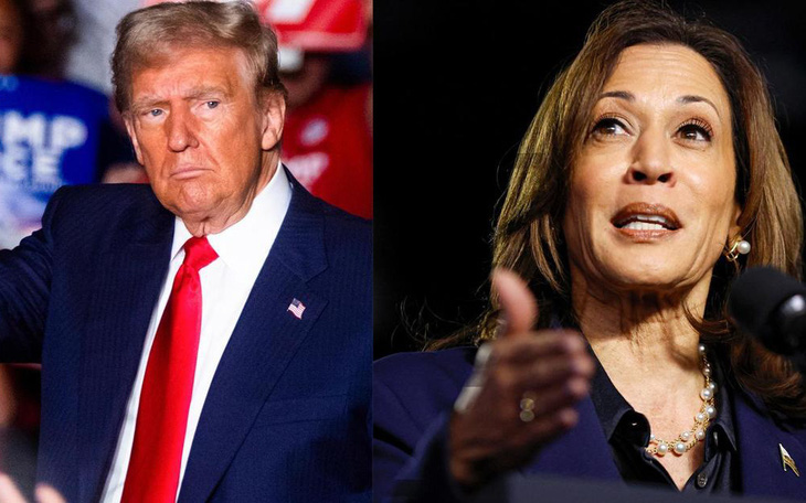 Người ủng hộ ông Donald Trump ăn mừng náo nhiệt trên X, các siêu sao phe Kamala Harris im lặng - Ảnh 6.