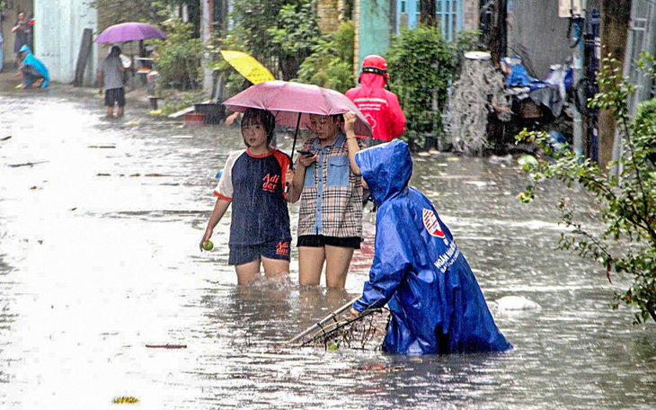 Hoa màu tang tác, nông dân Đà Nẵng mất Tết sau lũ - Ảnh 10.