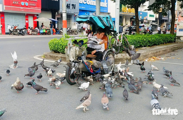 Hình ảnh đẹp nơi công viên: Anh bán vé số nghèo làm bạn với bồ câu, chim trời - Ảnh 1.