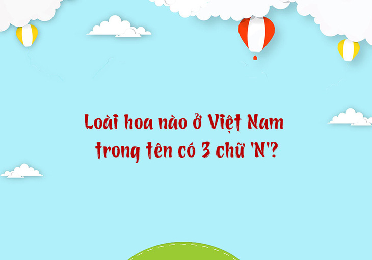 Loài hoa nào ở Việt Nam trong tên có 3 chữ 'N'? - Ảnh 1.