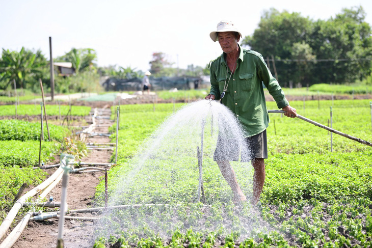 Thời tiết hôm nay 2-12: Miền Nam mưa tăng, miền Bắc rét mướt - Ảnh 1.