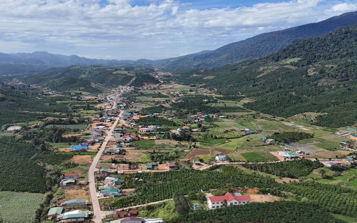 Thu hồi 1.700 ha đất rừng để cấp cho hơn 600 hộ dân 'sống tỉnh này, hộ khẩu tỉnh kia' - Ảnh 2.