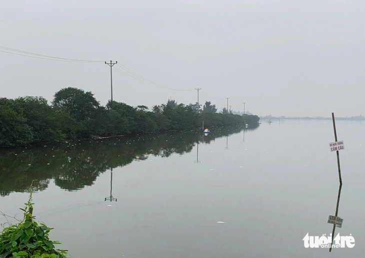 Cá nuôi bất ngờ chết trắng mặt hồ, bốc mùi hôi thối - Ảnh 4.