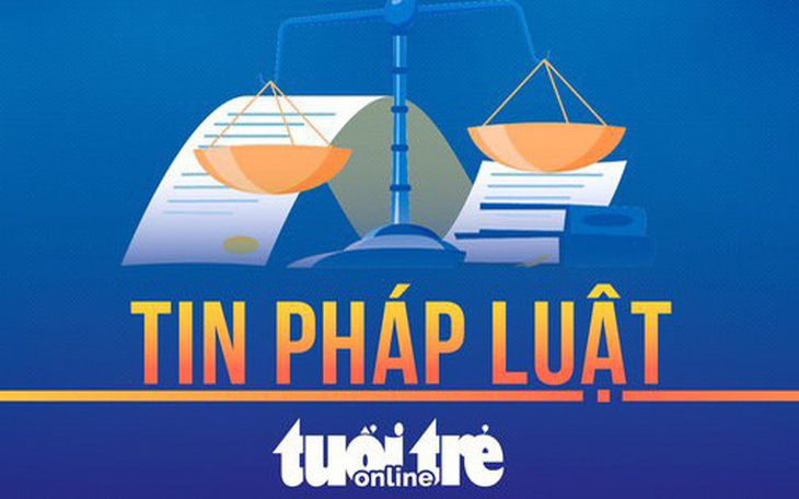 Ông Trần Đình Triển bị Tòa án đưa ra xét xử với cáo buộc như thế nào? - Ảnh 2.