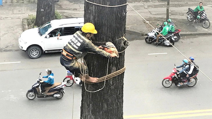 Sinh kế và sức khỏe cho lao động ngoài trời - Ảnh 1.