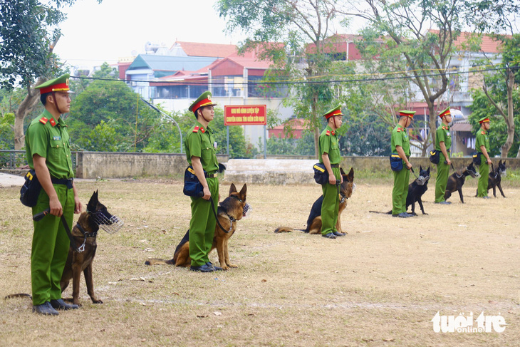 Chó nghiệp vụ - Ảnh 8.