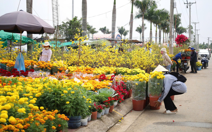 Mưa gió quật tơi tả chợ hoa, tiểu thương lo 'mất Tết' - Ảnh 8.