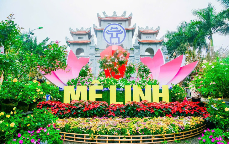 Hà Nội tổ chức Festival hoa Mê Linh 4 ngày liên tiếp - Ảnh 1.