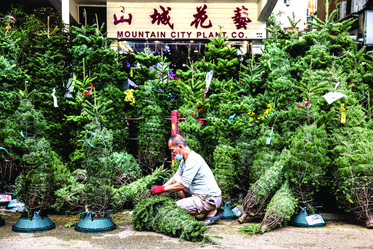 Yêu môi trường, nhưng mùa hội thì sao? - Ảnh 2.