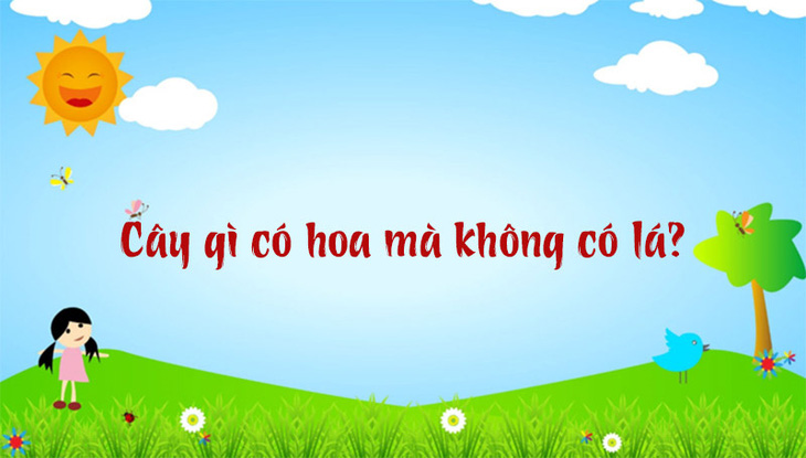 Cây gì to nhất? - Ảnh 2.