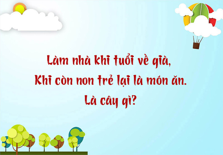 Cây gì to nhất? - Ảnh 3.