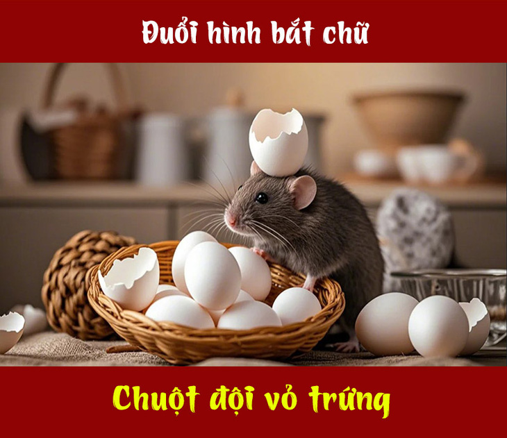 Câu thành ngữ nào liên quan đến chuột và trứng? - Ảnh 1.