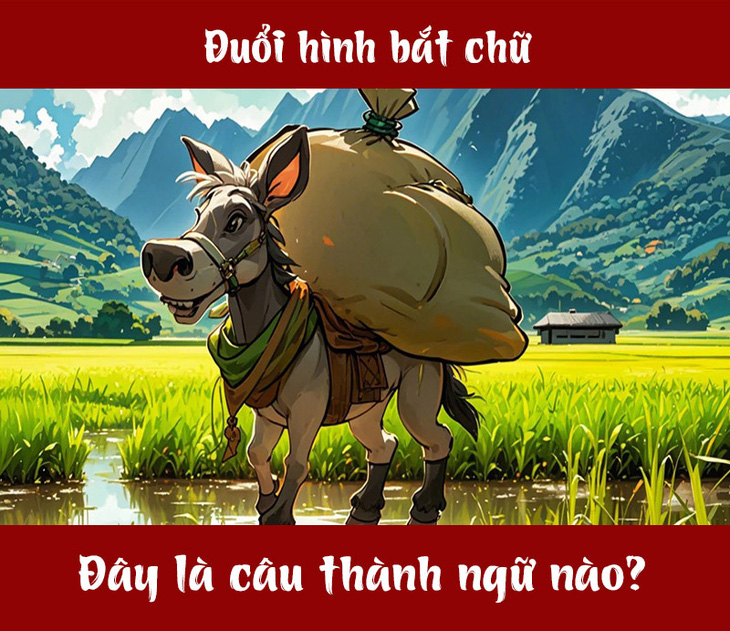 Câu thành ngữ gì liên quan đến lừa? - Ảnh 1.