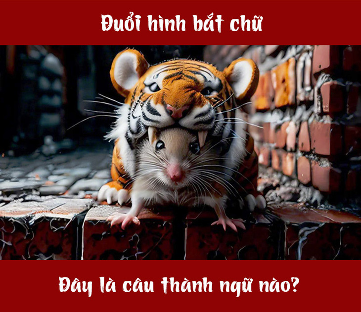 Đây là câu thành ngữ gì? - Ảnh 1.