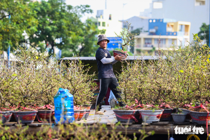 Chợ hoa xuân 'trên bến dưới thuyền' năm nay có gì mới? - Ảnh 1.