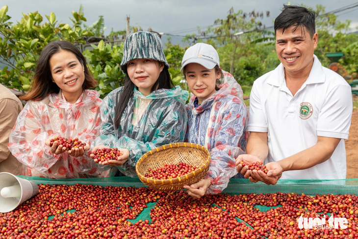 Quảng Trị đưa cà phê đặc sản, cao dược liệu… lên sàn Alibaba của Jack Ma - Ảnh 1.