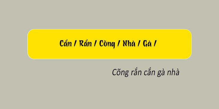 Thử tài tiếng Việt: Sắp xếp các từ sau thành câu có nghĩa (P164) - Ảnh 1.