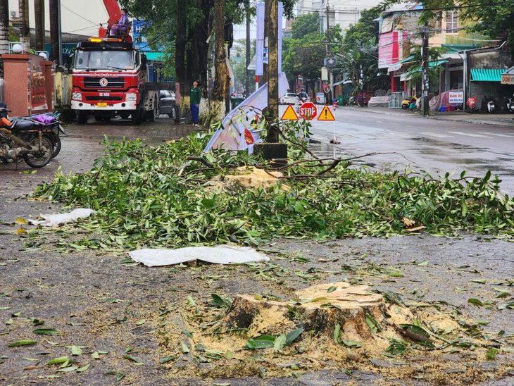 'Không có chuyện chặt hàng cây hoa sữa làm trạm sạc xe điện trước cổng trường' - Ảnh 3.