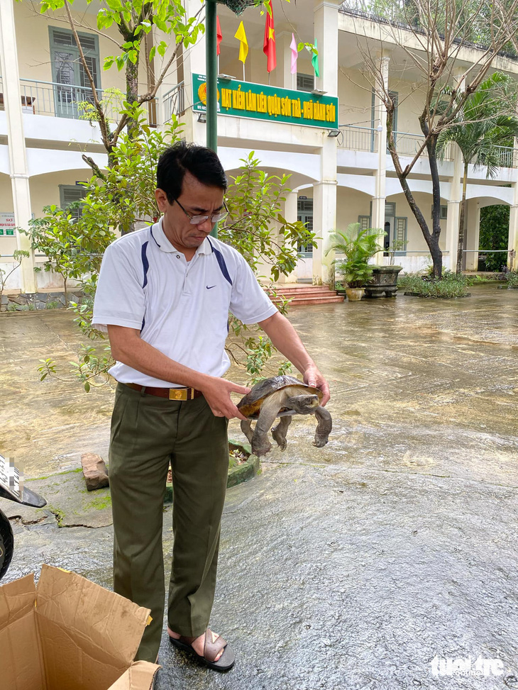 Rùa chết vì được phóng sinh, sao lòng tốt lại bị phẫn nộ? - Ảnh 3.