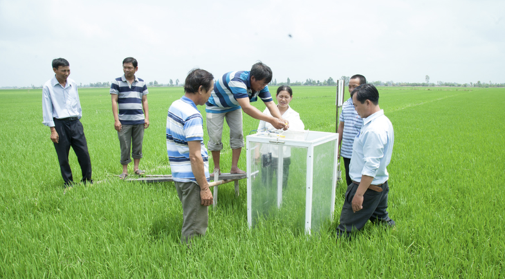 Hà Lan hỗ trợ nông nghiệp Việt Nam tăng tốc - Ảnh 2.