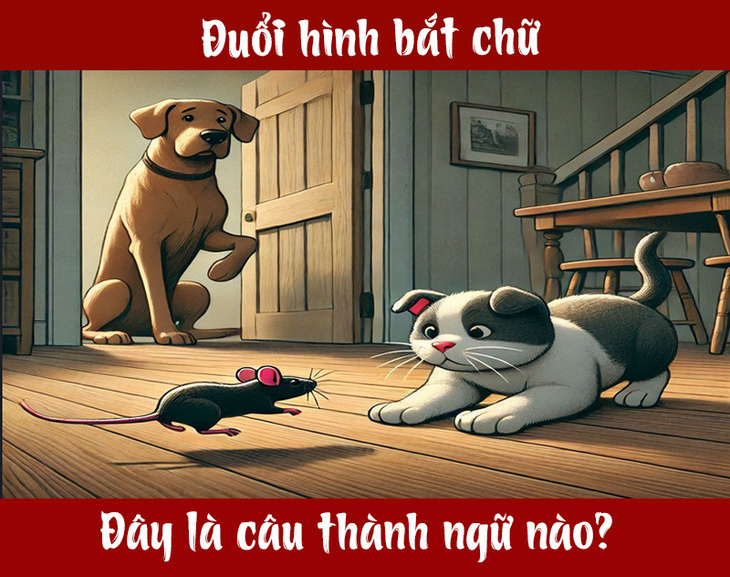 Câu tục ngữ, thành ngữ 'khó nhằn' này là gì? (P80) - Ảnh 1.