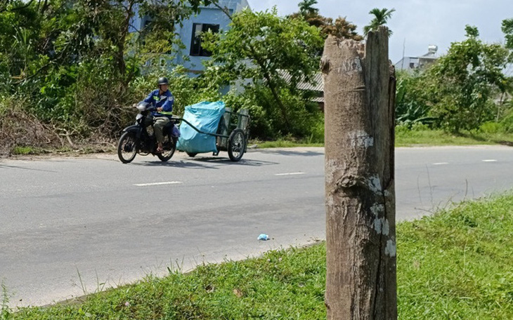 Tín hiệu mới với siêu dự án gần 44.000 tỉ đồng ở Đà Nẵng - Ảnh 2.