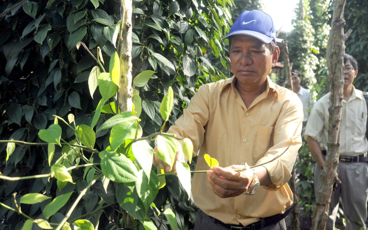 Khơi nguồn sống xanh, Net Zero thêm gần - Ảnh 3.