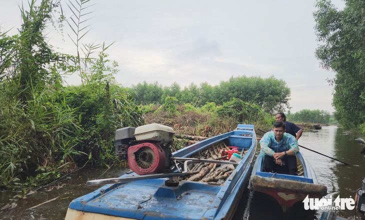 Dân ‘tố’ Ban quản lý rừng Kiên Giang ưu ái doanh nghiệp trồng rừng? - Ảnh 2.