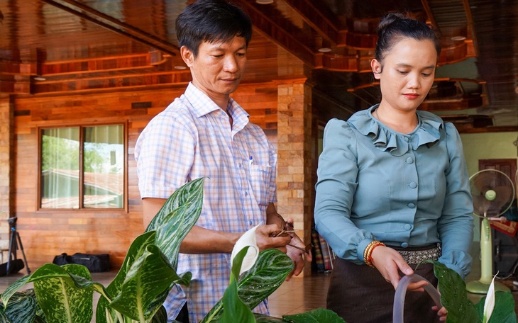 Kỳ tích cao su Việt trên nước bạn Lào - Kỳ cuối: Tương lai vững bền bên tán rừng cao su - Ảnh 2.