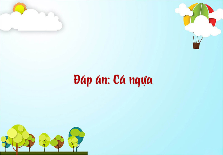 Tỉnh nào nước ta có tên nửa trong nhà,nửa ngoài biển? - Ảnh 1.