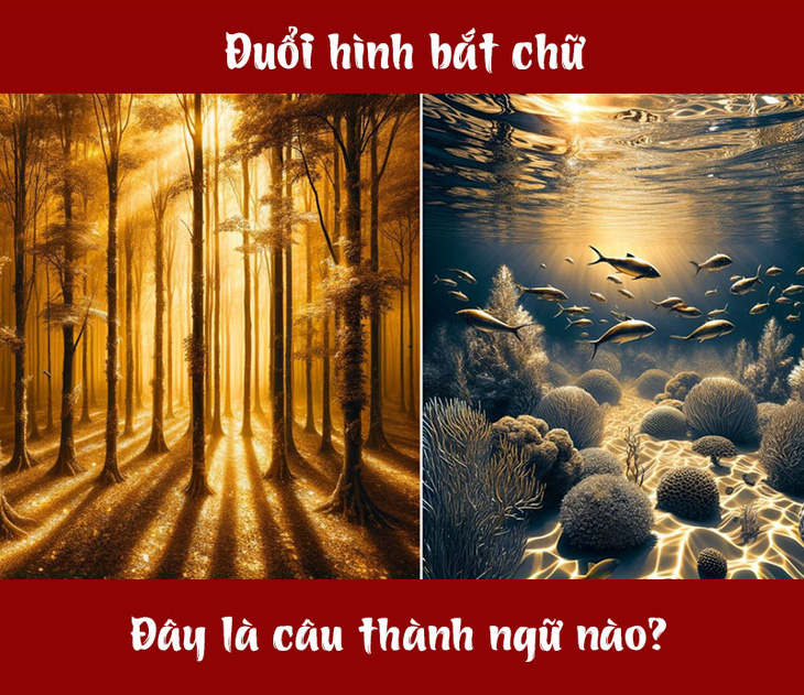 Câu tục ngữ, thành ngữ 'khó nhằn' này là gì? (P75) - Ảnh 1.