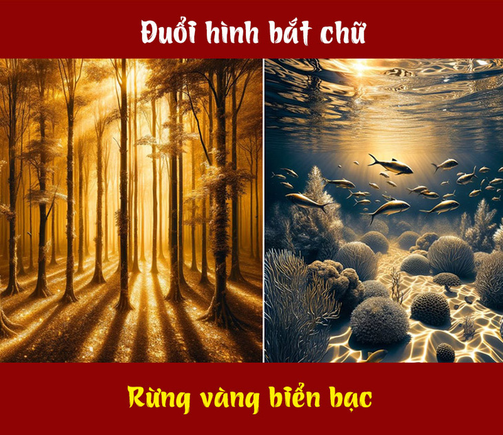 Câu tục ngữ, thành ngữ 'khó nhằn' này là gì? (P75) - Ảnh 1.