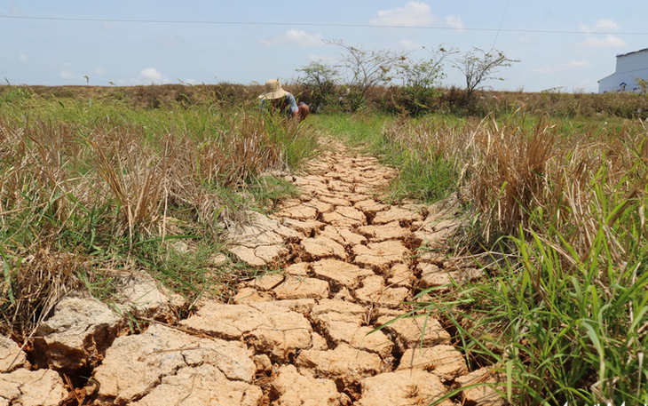 Tháng 2-2024, Tây Nguyên và Nam Bộ ít mưa, khô hạn kéo dài