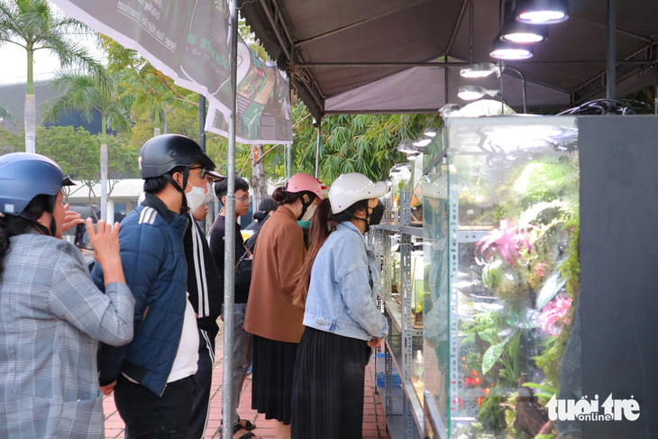 Dù lần đầu có mặt tại chợ hoa xuân, tiểu cảnh vườn nhiệt đới đã được nhiều người quan tâm, đặt mua - Ảnh: LỆ THÀNH