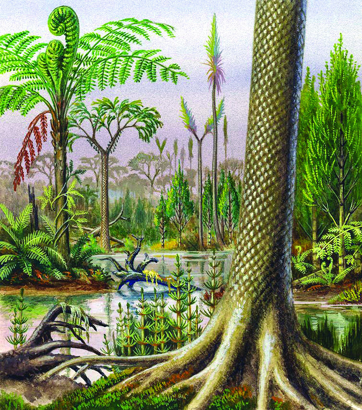 Vỏ cây có vảy của loài Lepidodendron có thể liên quan đến thần thoại về rồng.  Tranh:  DE AGOSTINI/GETTY IMAGES